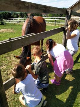 Tabor “Ethos Land” v Peterlougu 10